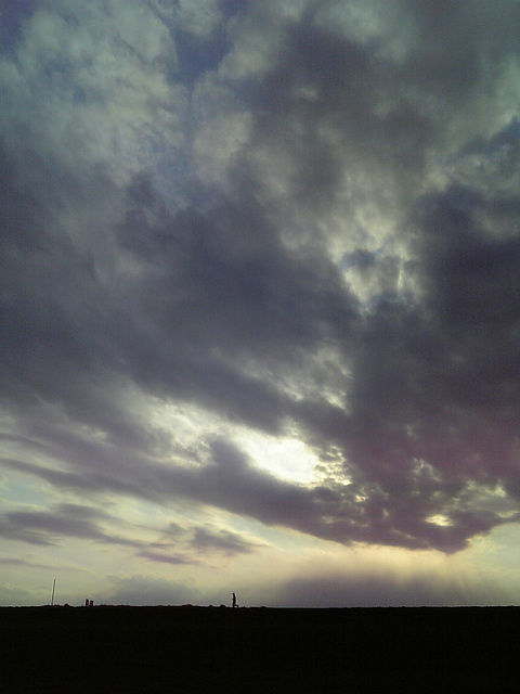 SH903i2009032835a.jpg