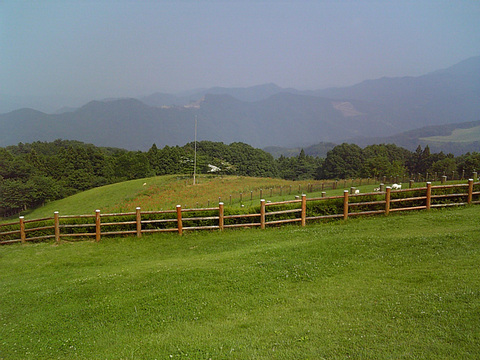 SH903i2009061918a.jpg