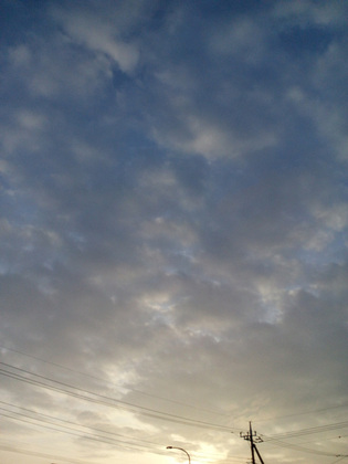 ky42c202503094442a.jpg